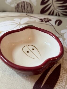 Hand-Painted apple dish Dish with Red Rim